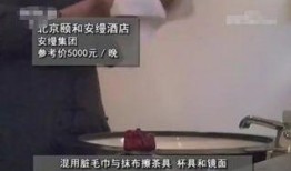 酒店最新爆料大全视频,一探究竟的幕后真相大公开