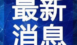 黑车最新爆料新闻视频大全,揭秘视频大全背后的真相与争议