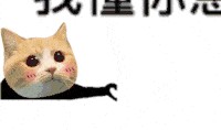 队长爆料最新动态视频,最新动态视频大揭秘！