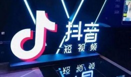 获奖的爆料视频大全最新,年度爆料视频大全精彩回顾
